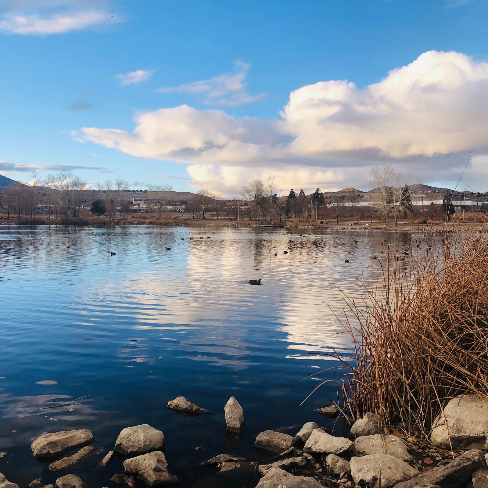 Teglia’s Paradise Park - Image 1