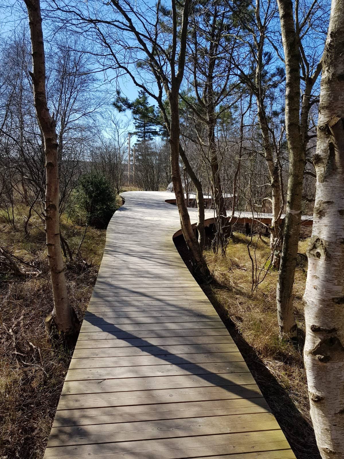 Beach Access via Pier