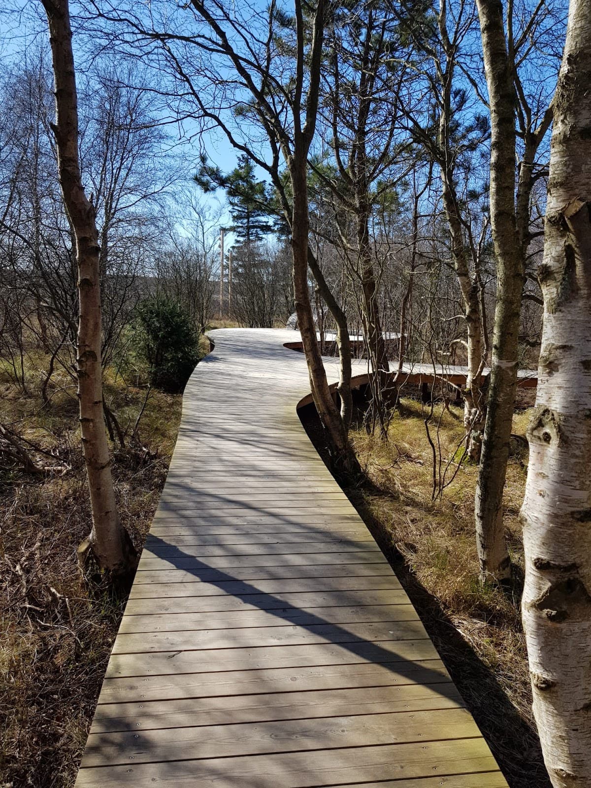 Erlebnis-Promenade Bad - Image 1