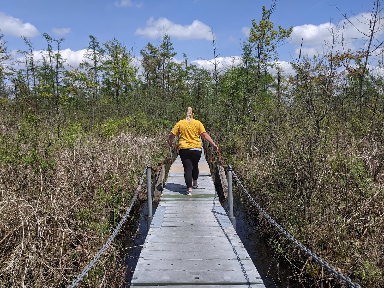 West Lake Nature Preserve - Image 1