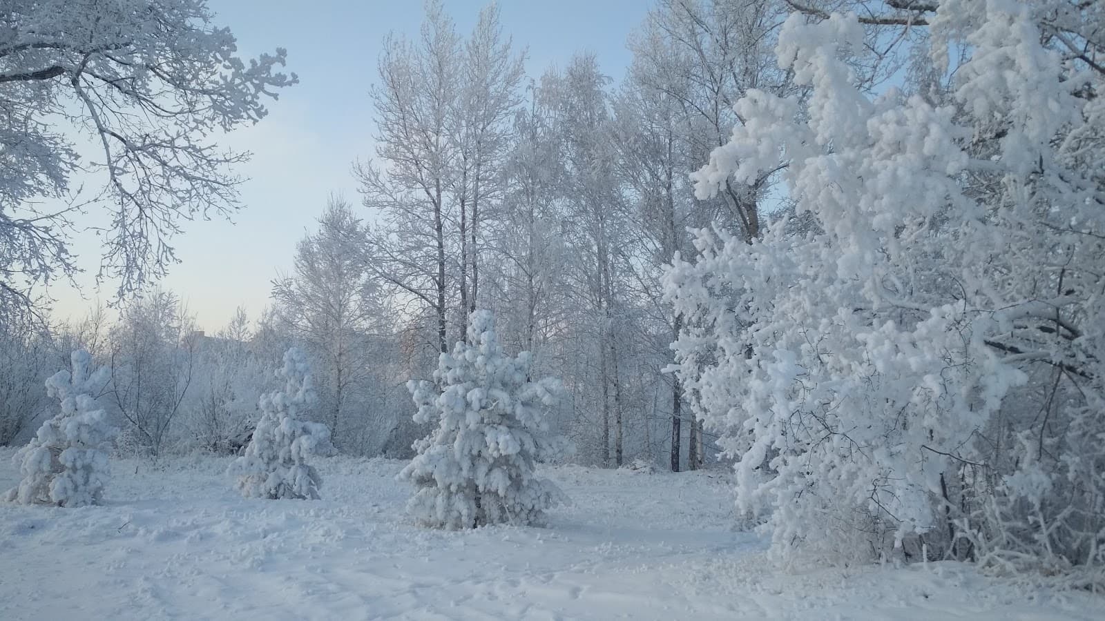 Tatyshev Island Park Krasnoyarsk - Image 1