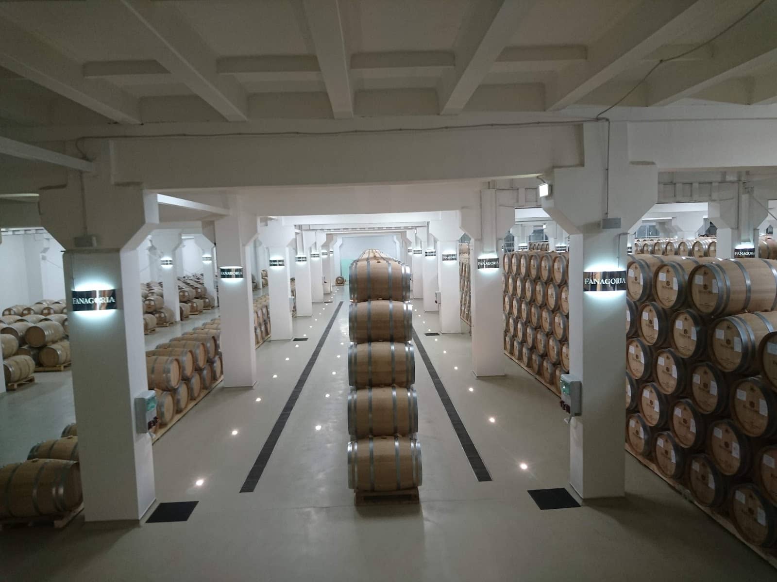 Horse Riding Experience