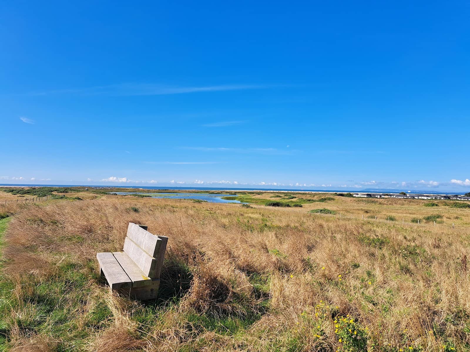 Coastal Path Views