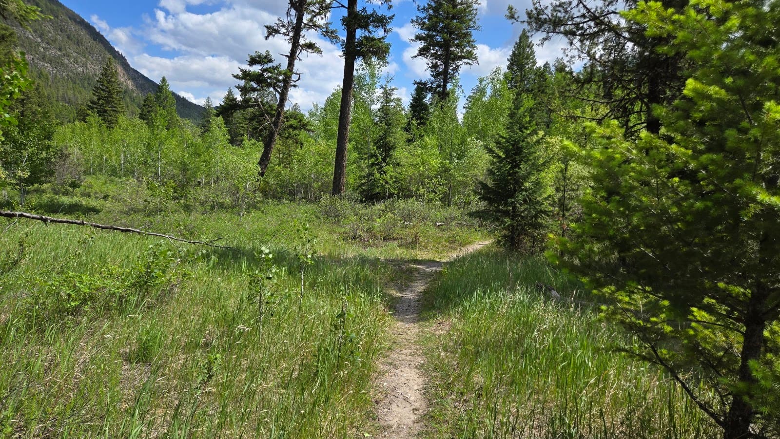 Redstreak Restoration Area - Image 1