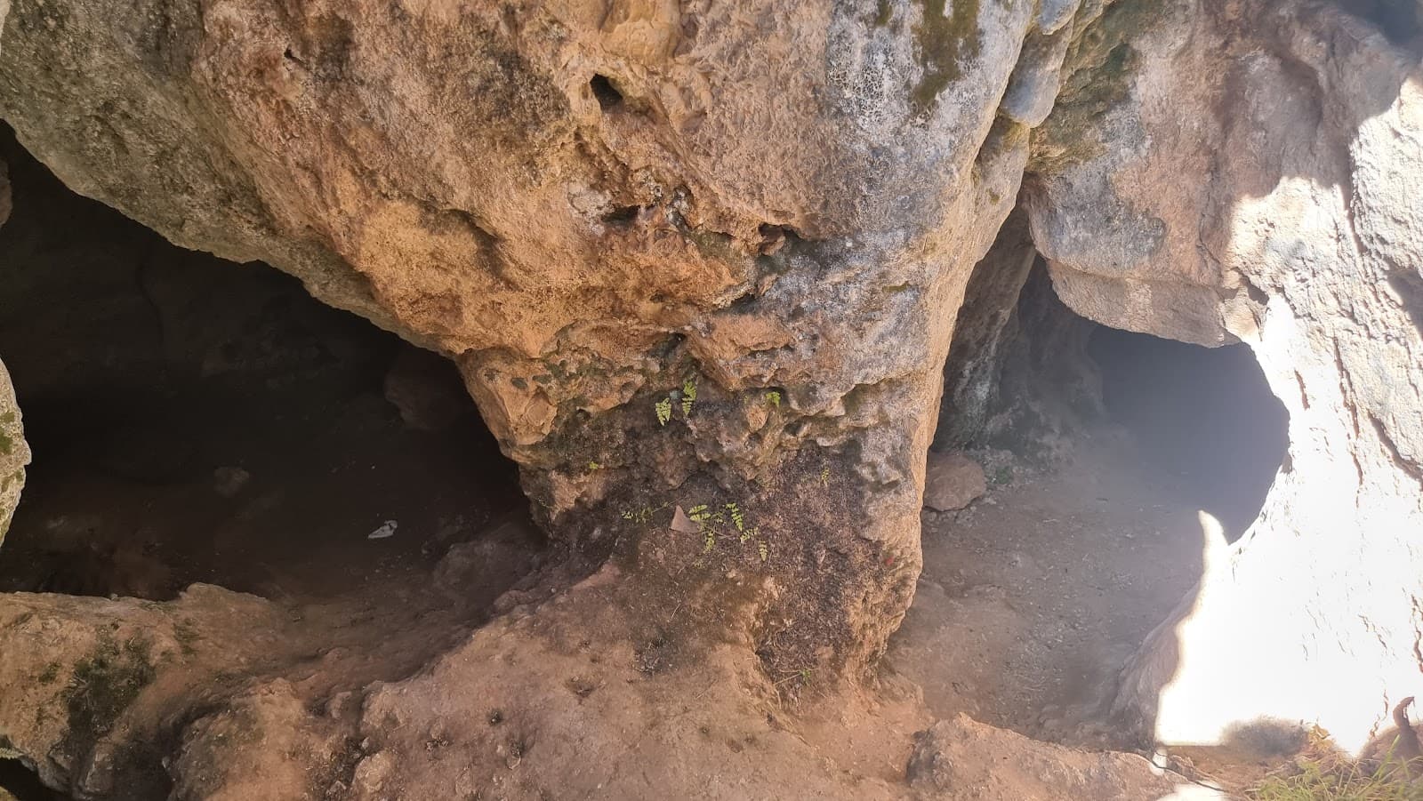 X-Zone Labyrinth - Image 1