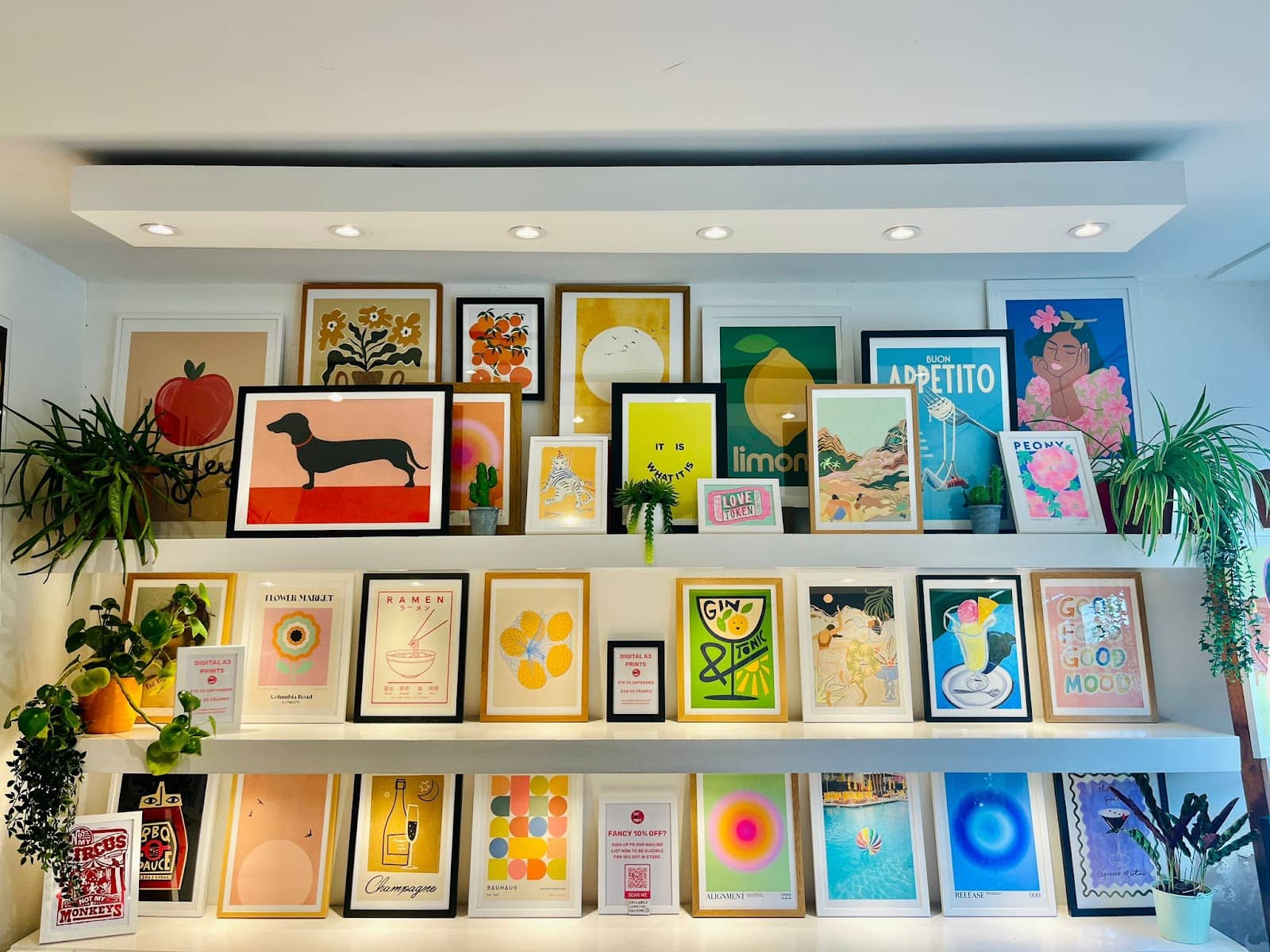 Framed Art Collections