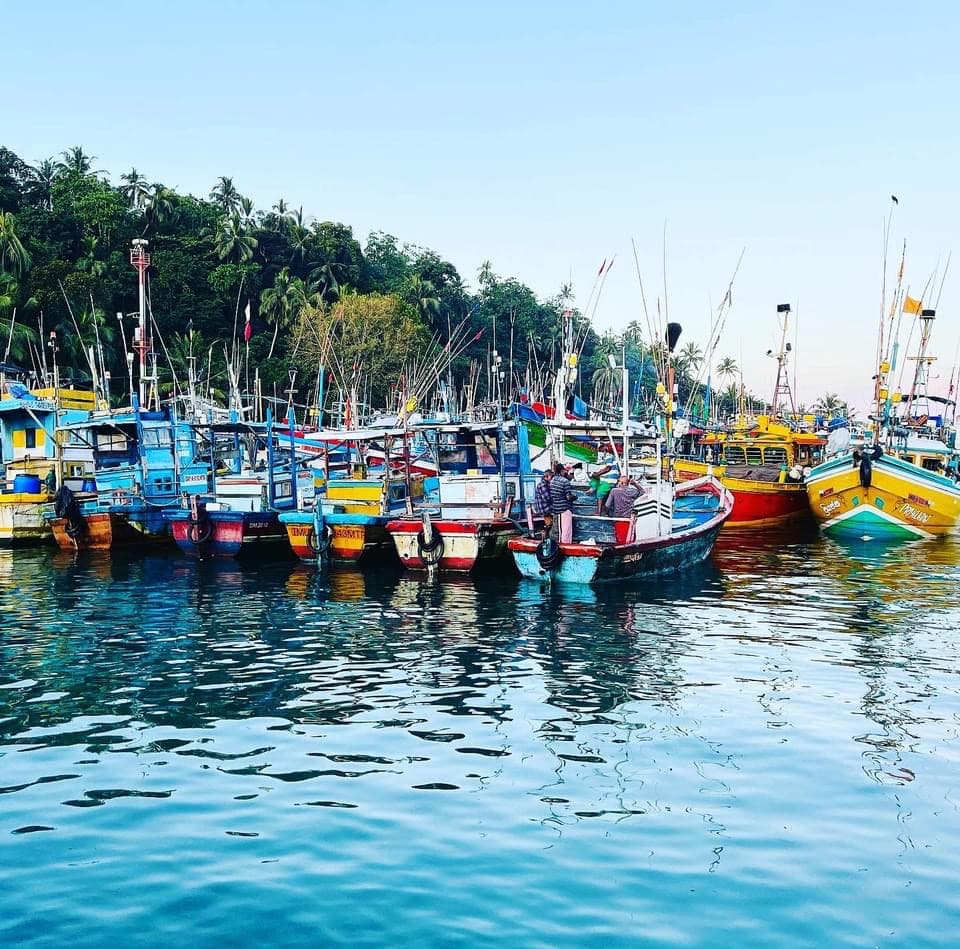Mirissa Harbour Mirissa Sri Lanka - Image 1