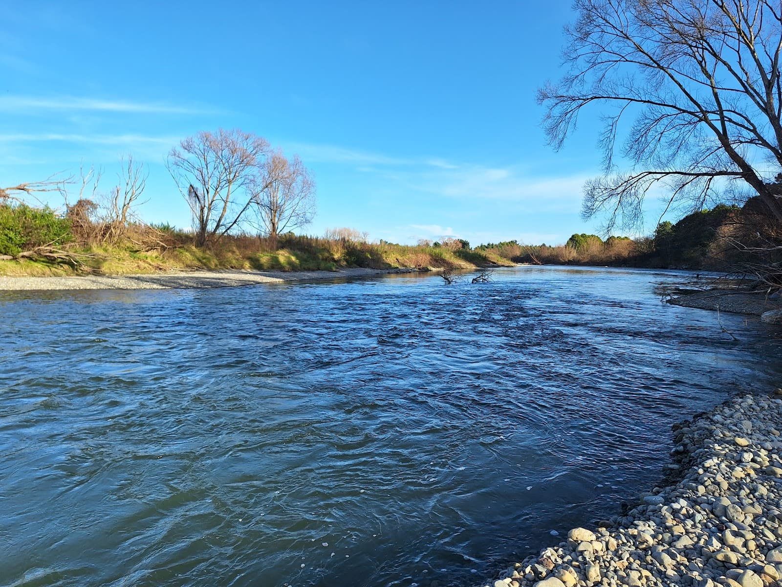 Waipoua River Trail (Masterton) - Image 1