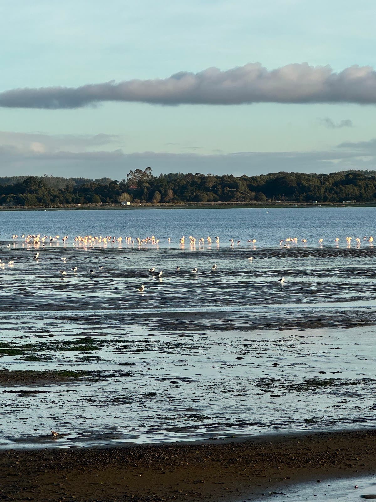 Caulín Bird Sanctuary - Image 1