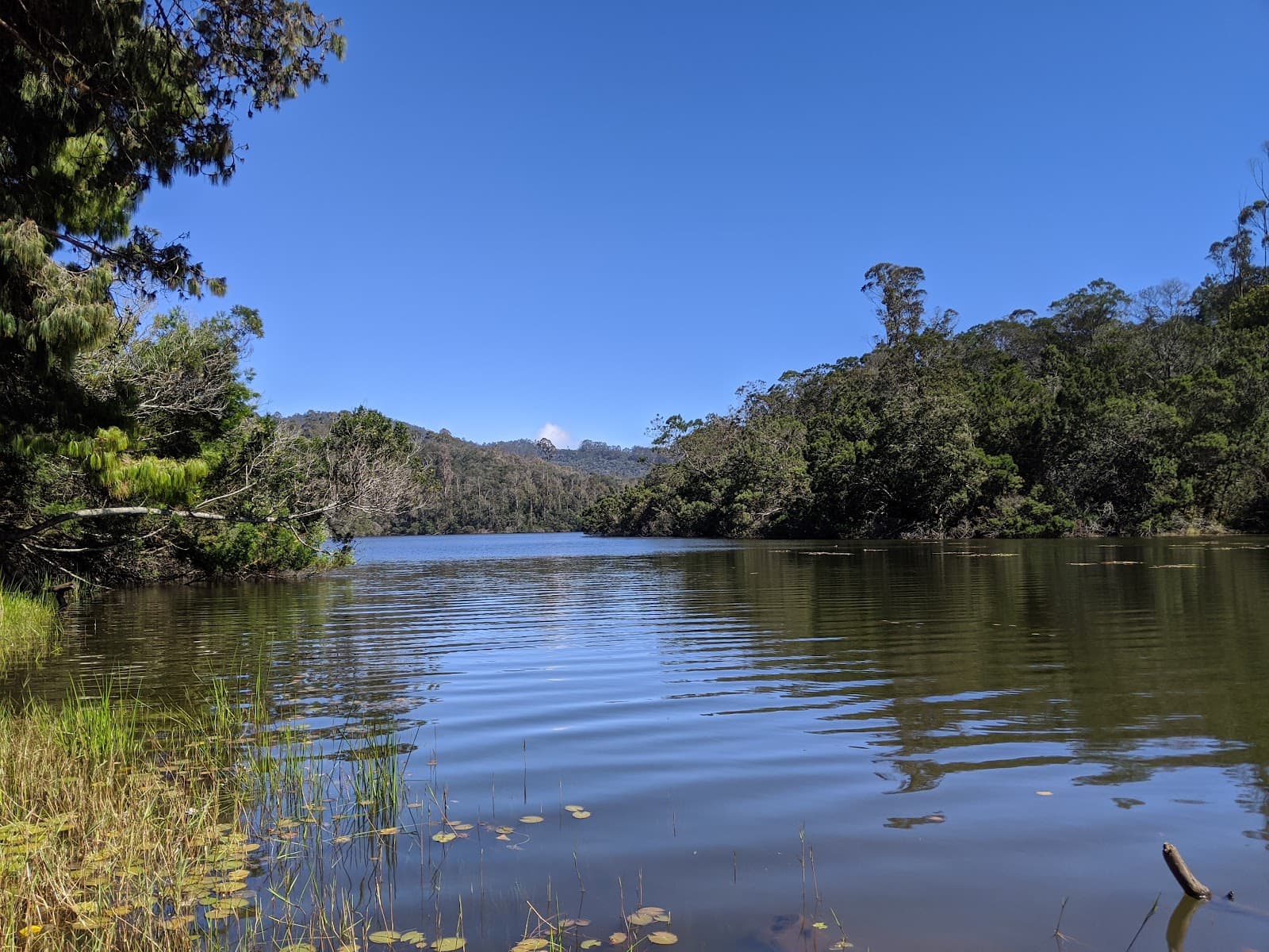 Berijam Lake Kodaikanal - Image 1
