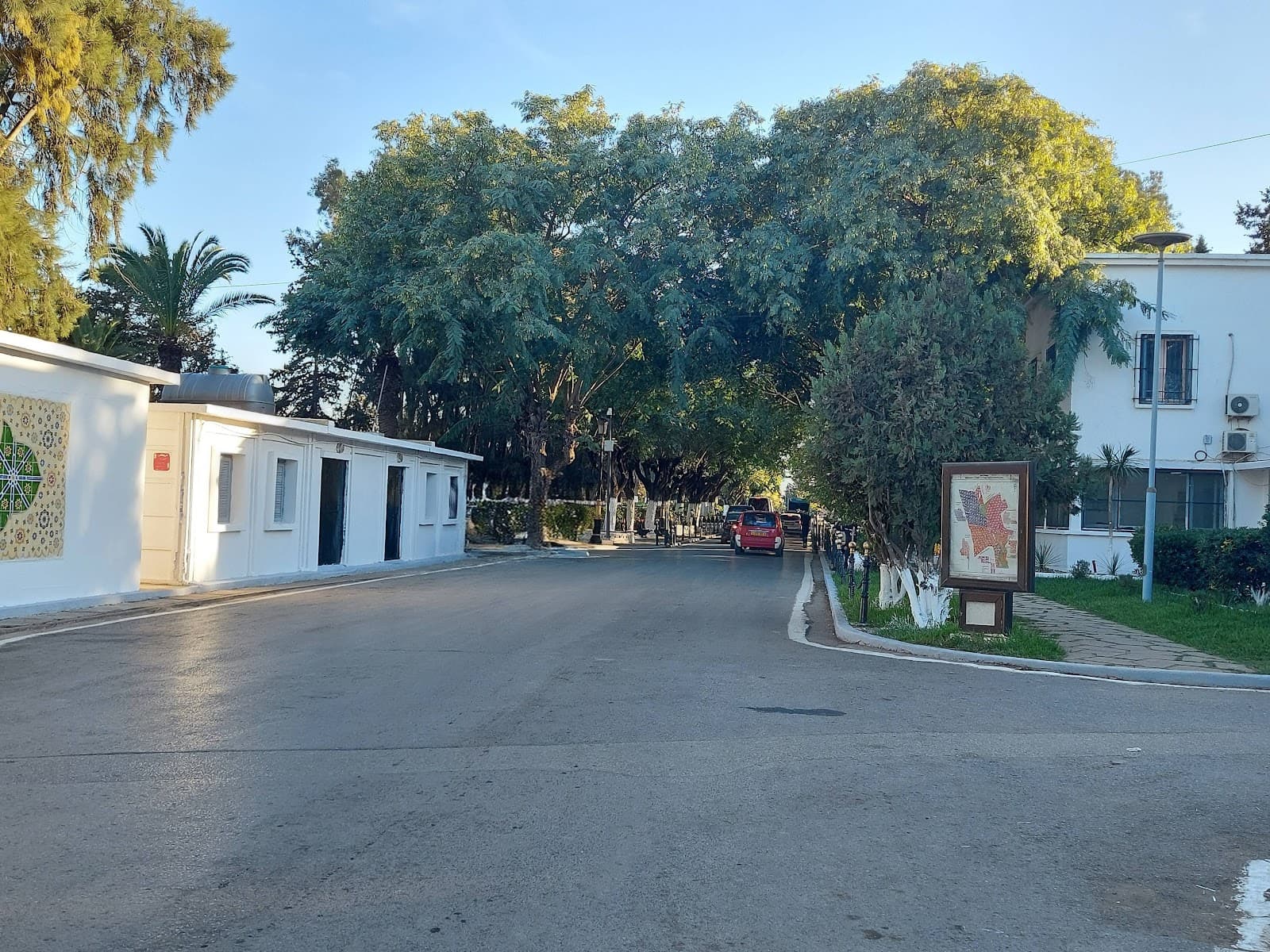 El Alia Cemetery Algiers - Image 1