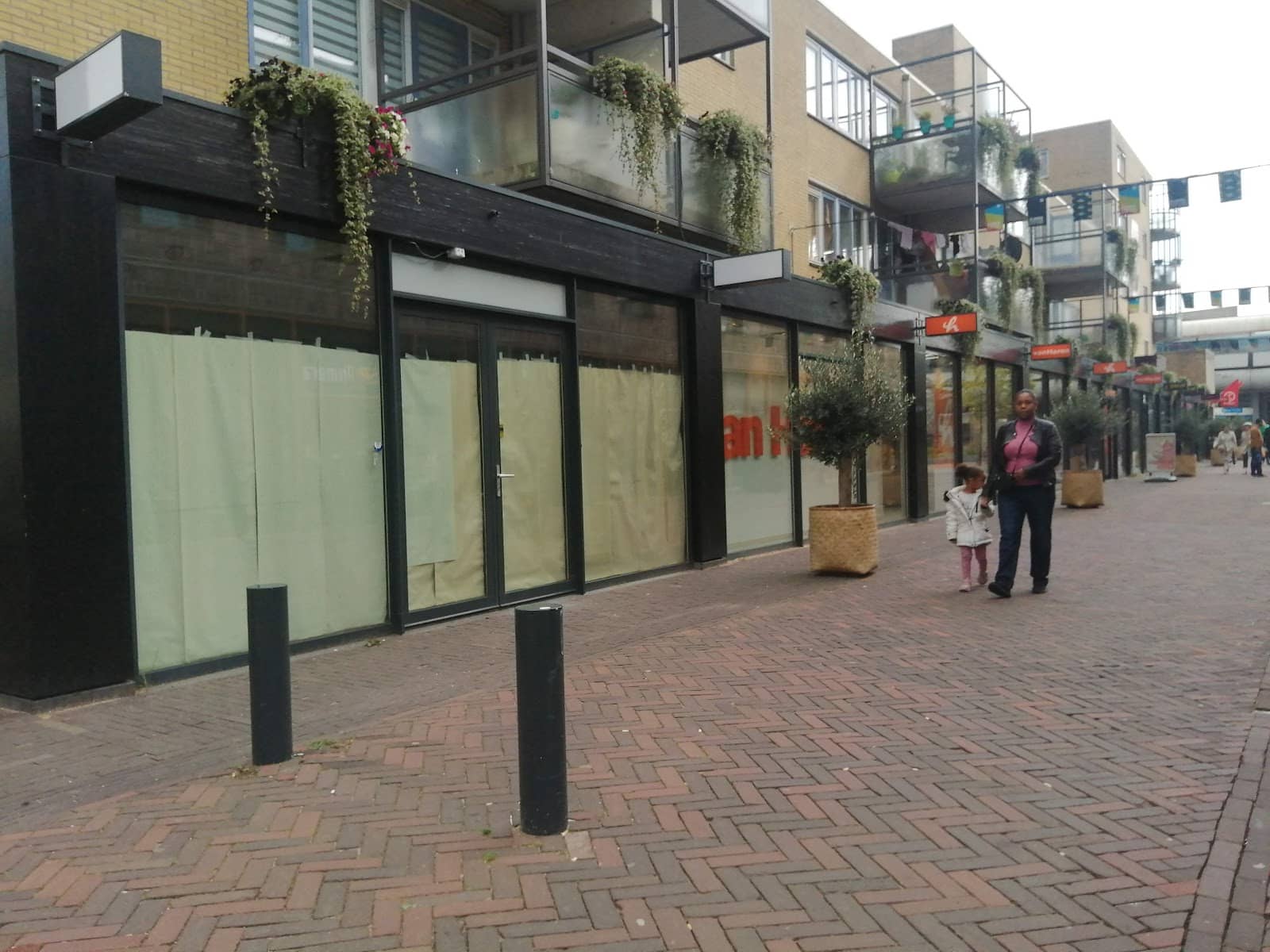 Shopping & Local Boutiques