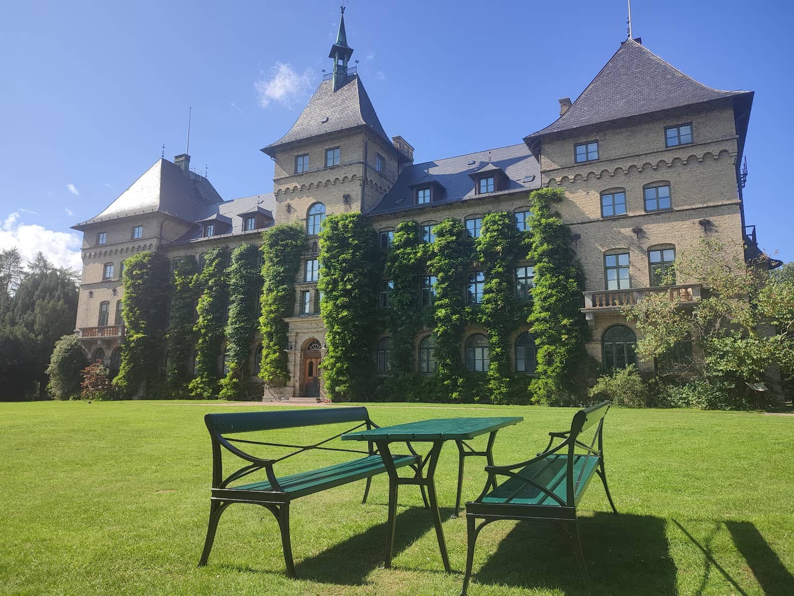 Labeled Plant Collections