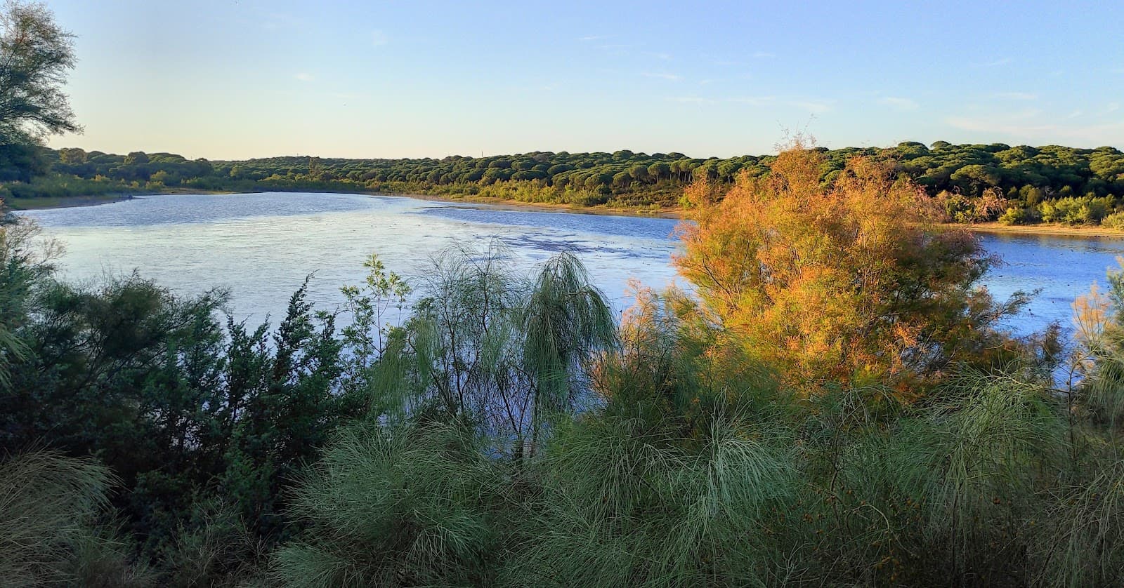 El Portil Lagoon - Image 1