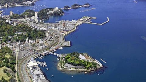 Mikimoto Pearl Island - Image 1