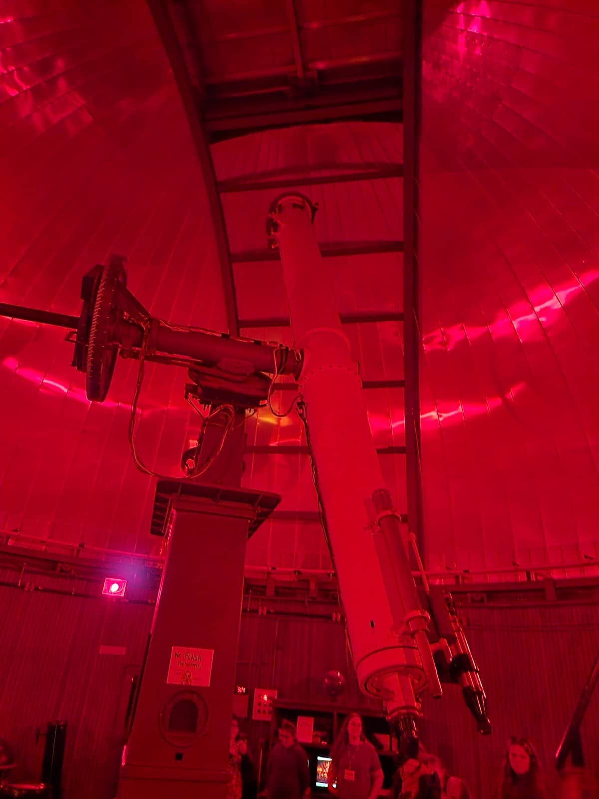 Expert-Led Stargazing Tours