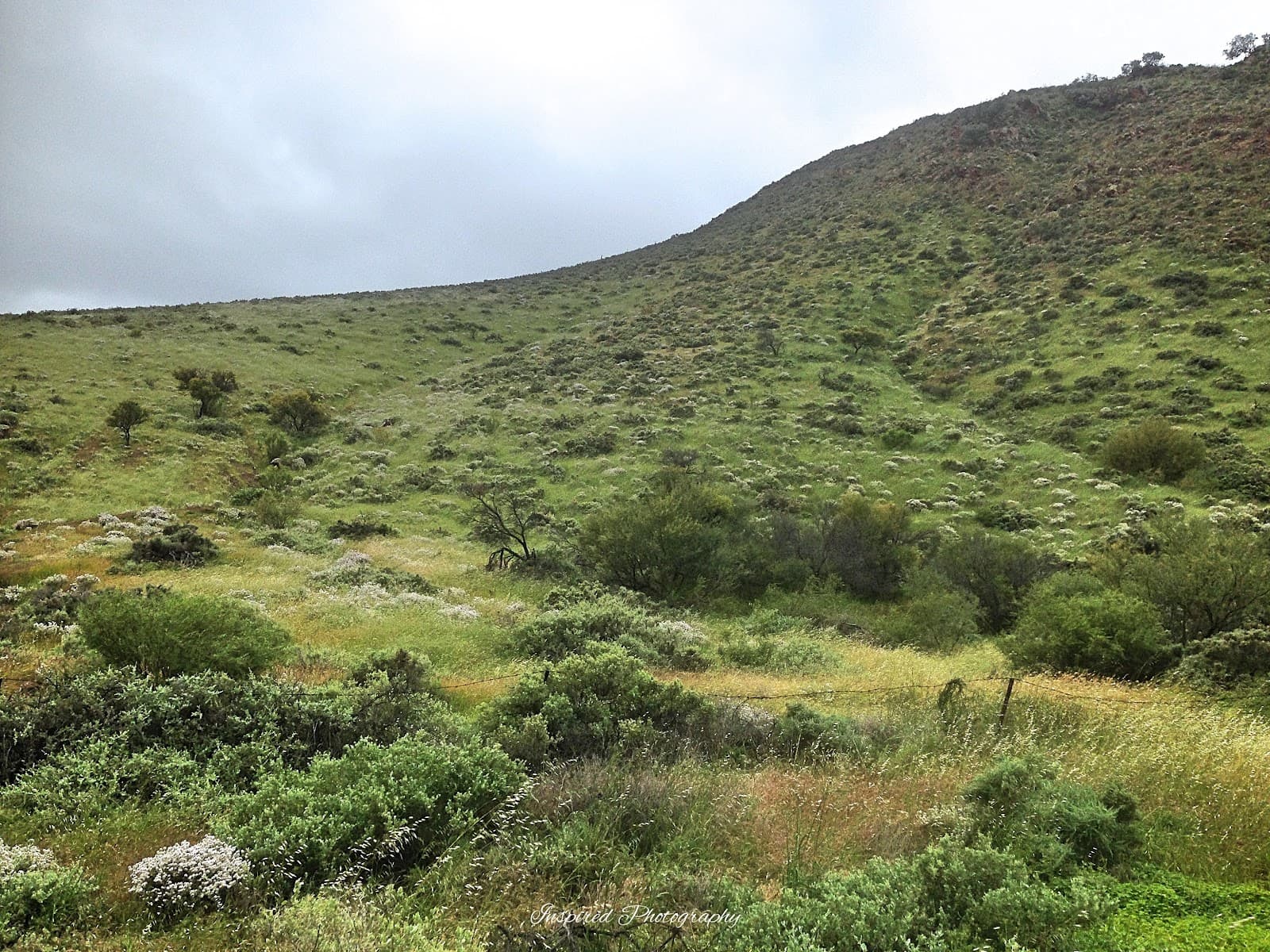 Pichi Richi Pass Lookout - Image 1