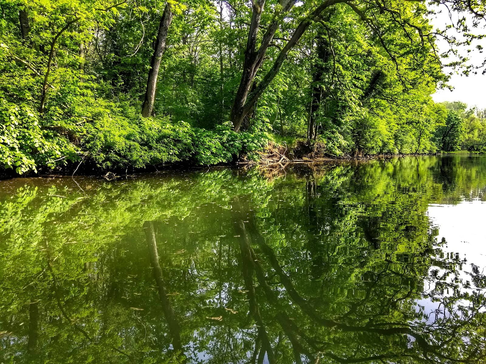 Diverse Flora and Fauna