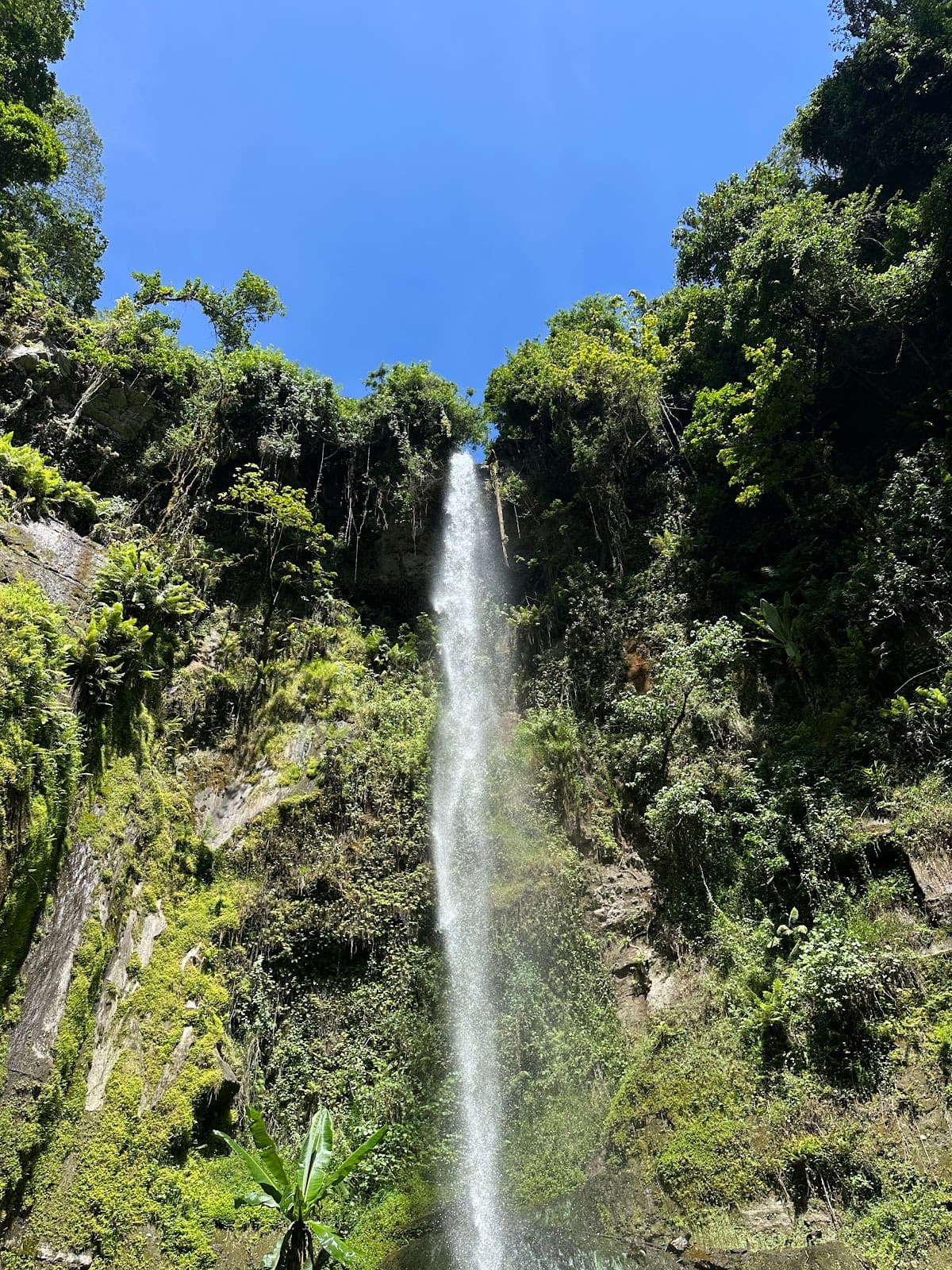 Napuru Waterfalls Themi - Image 1