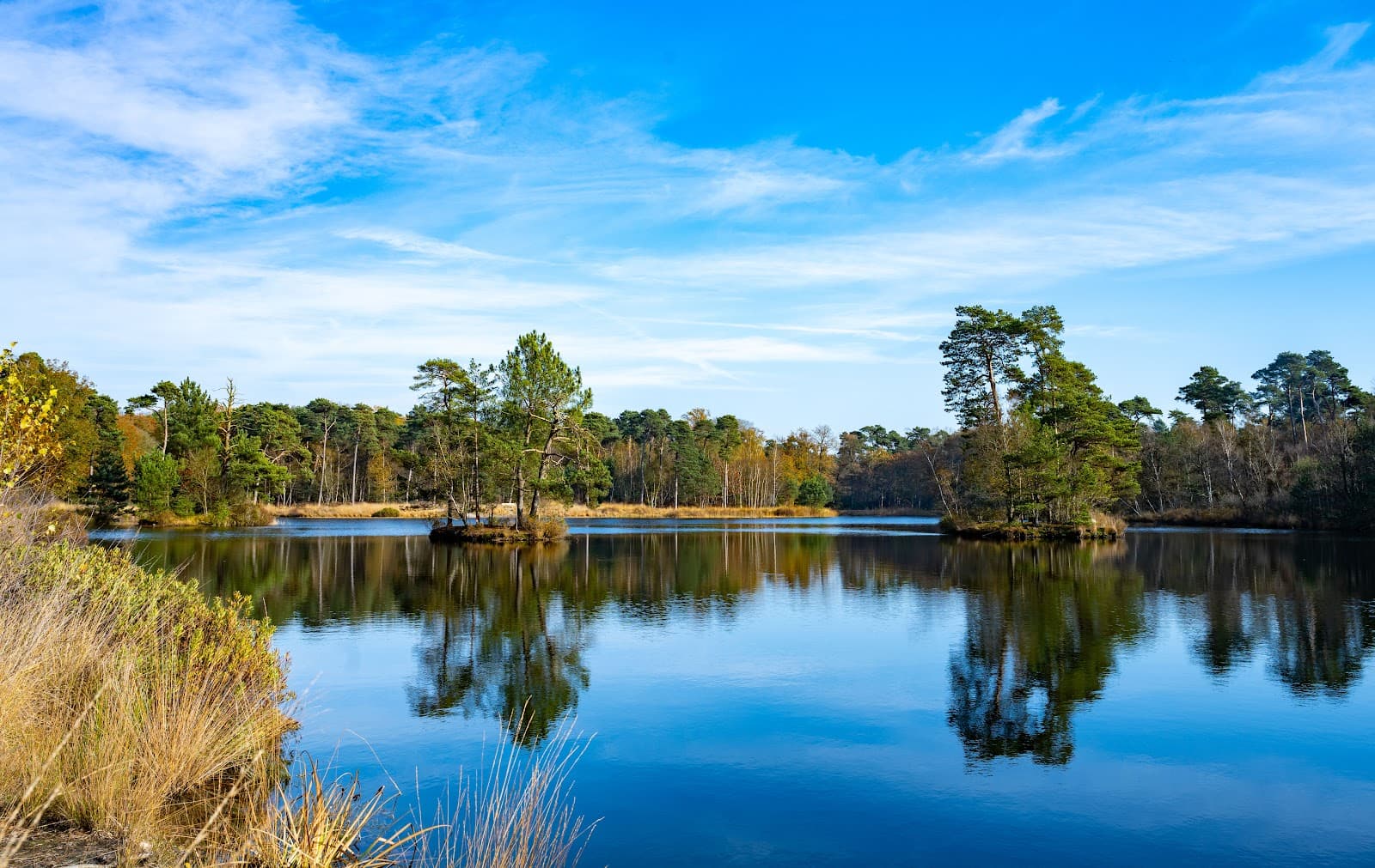Oisterwijkse Bossen en Vennen - Image 1