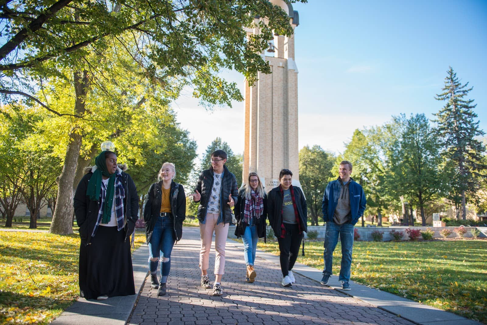 Homely Undergraduate Focus