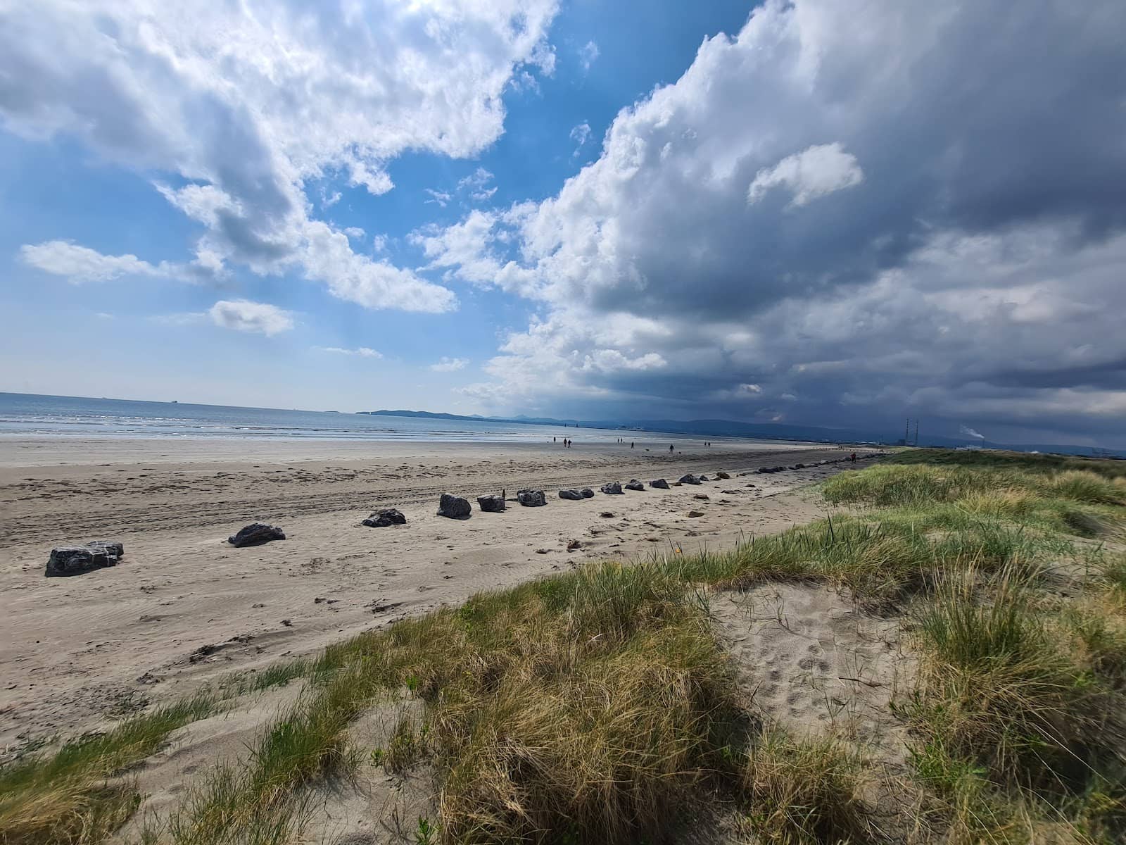 Sand Dunes & Wildlife