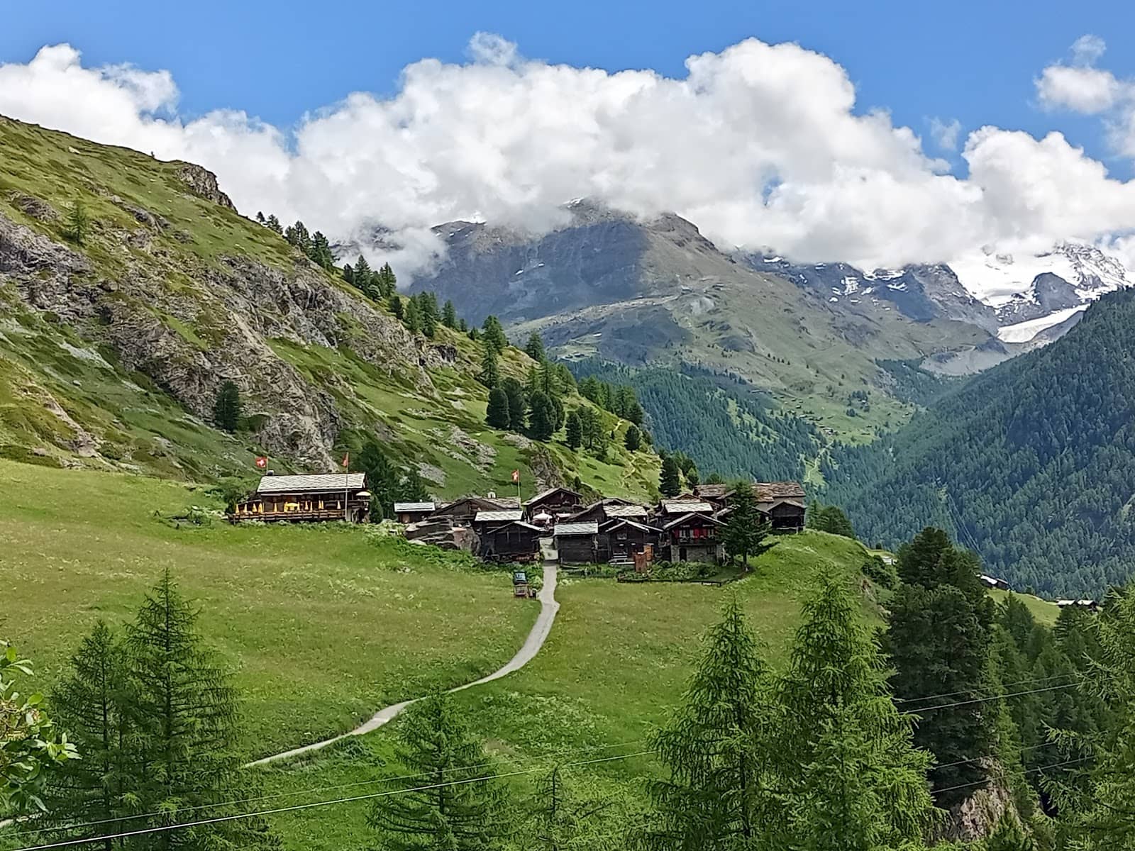 Alpine Pasture Scenery
