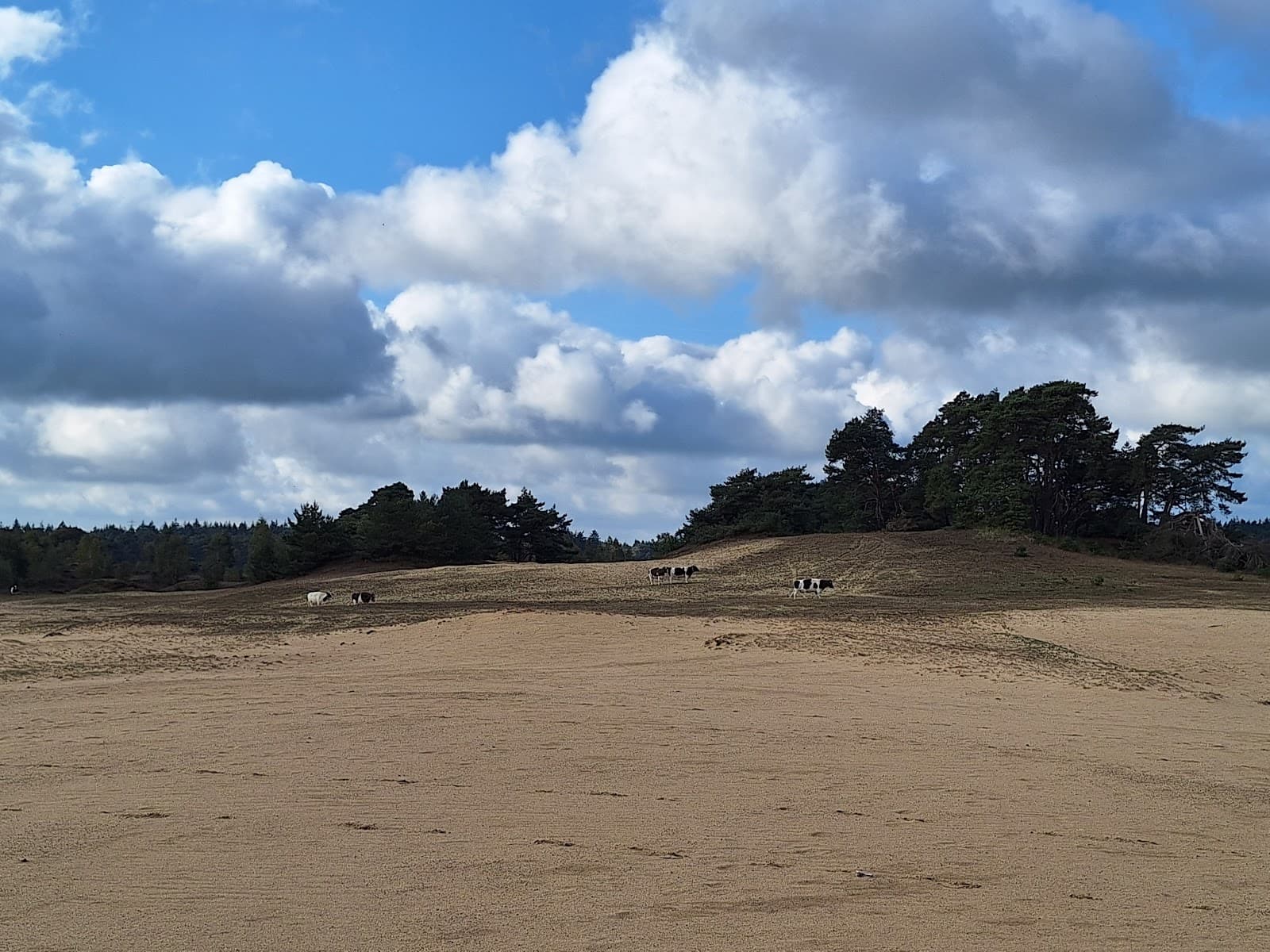 Wekeromse Zand - Image 1