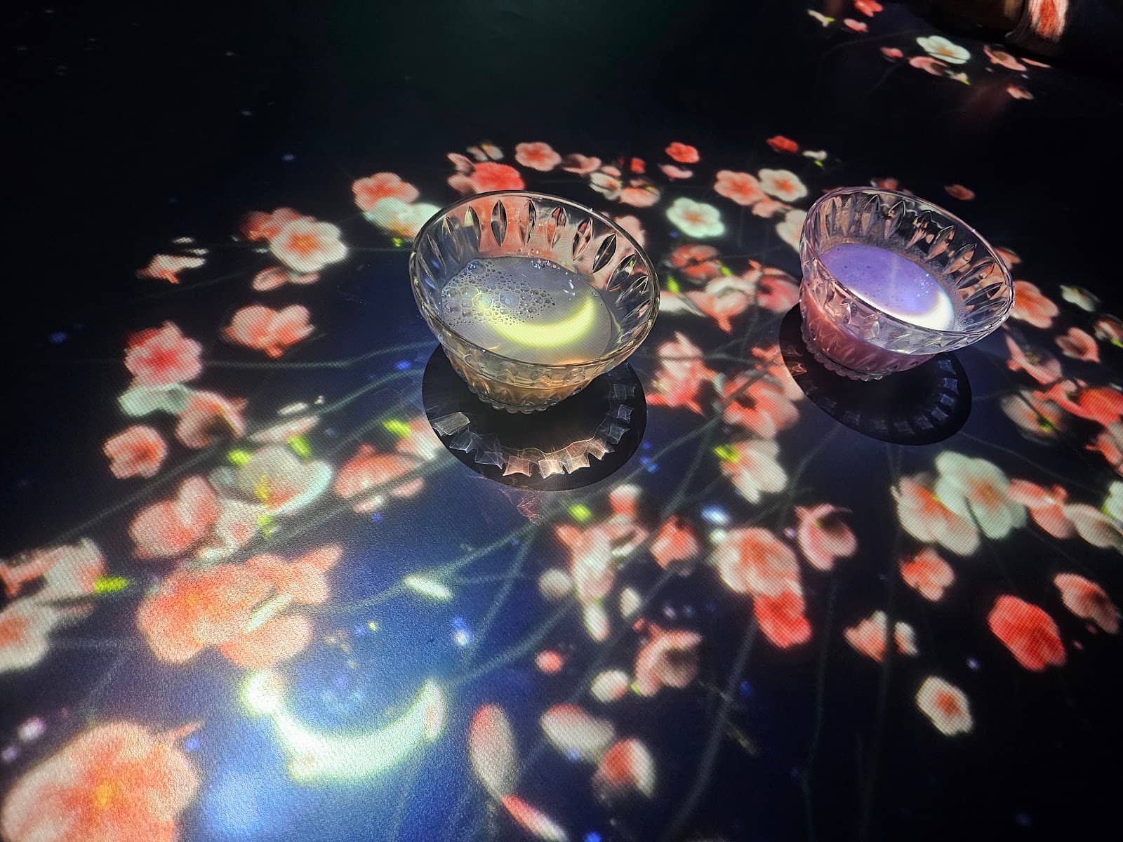 Enchanted Rose Garden