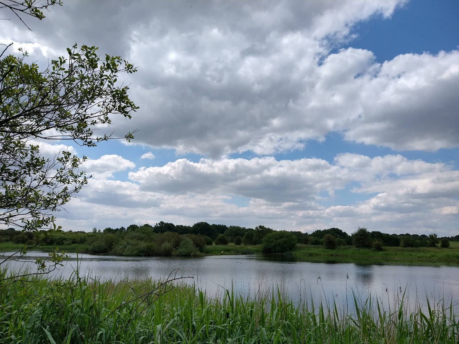 Autumn Sloe Foraging