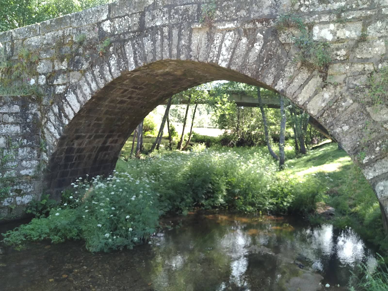 Family-Friendly Picnic Areas