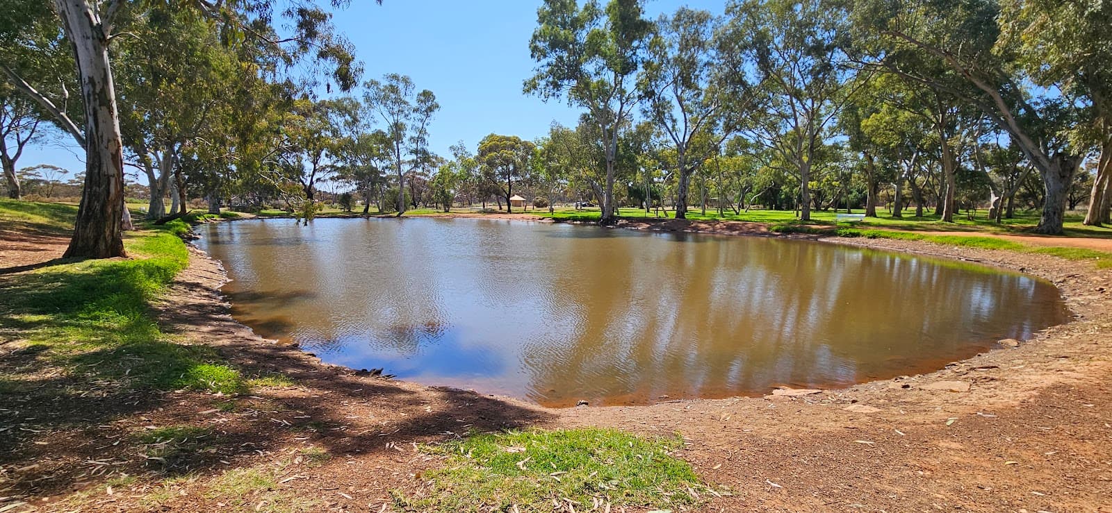 Kalgoorlie Arboretum - Image 1