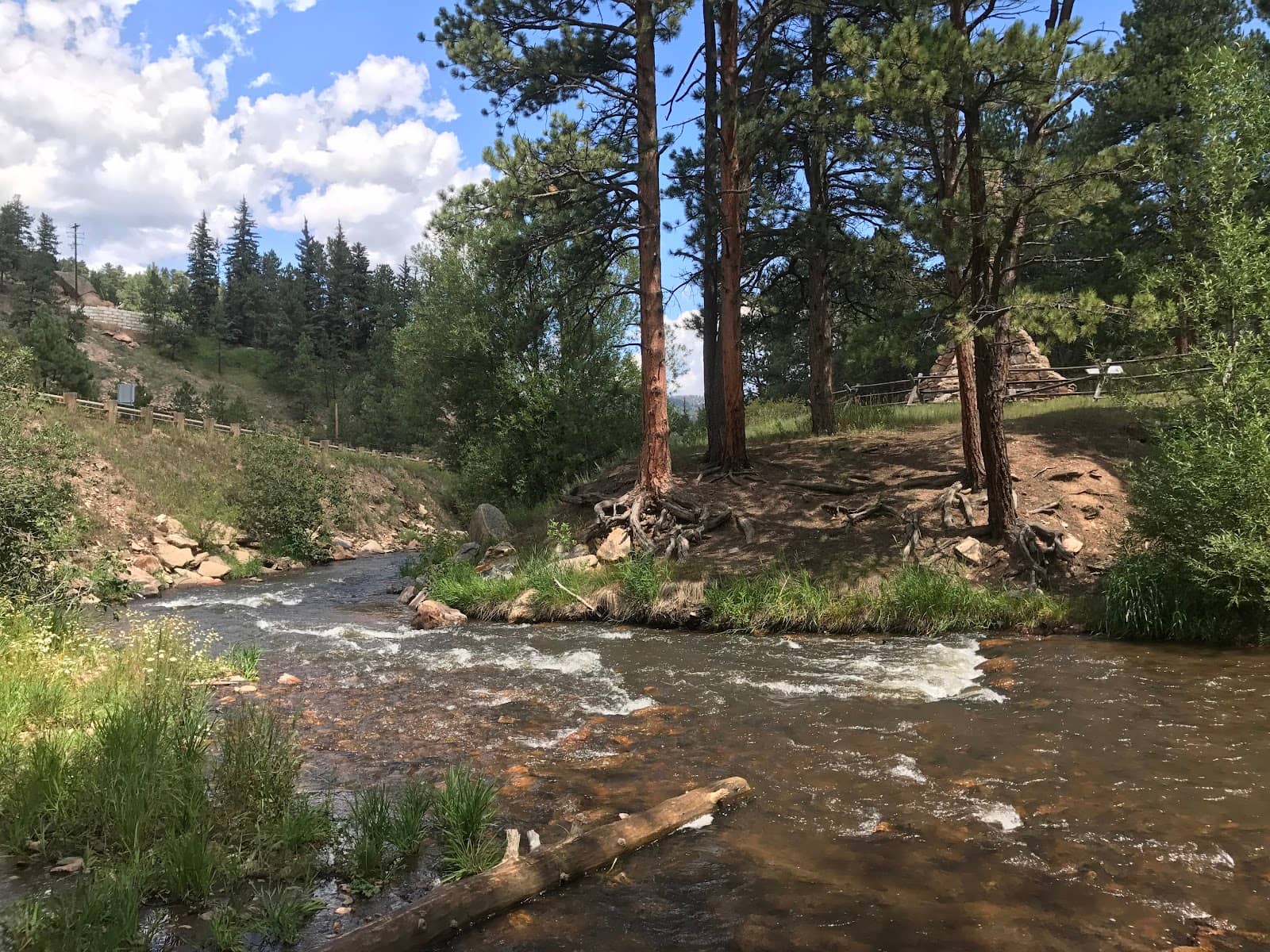 Mountain Biking Terrain