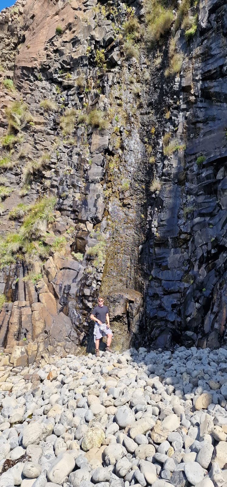 Burg and the Fossil Tree - Image 1