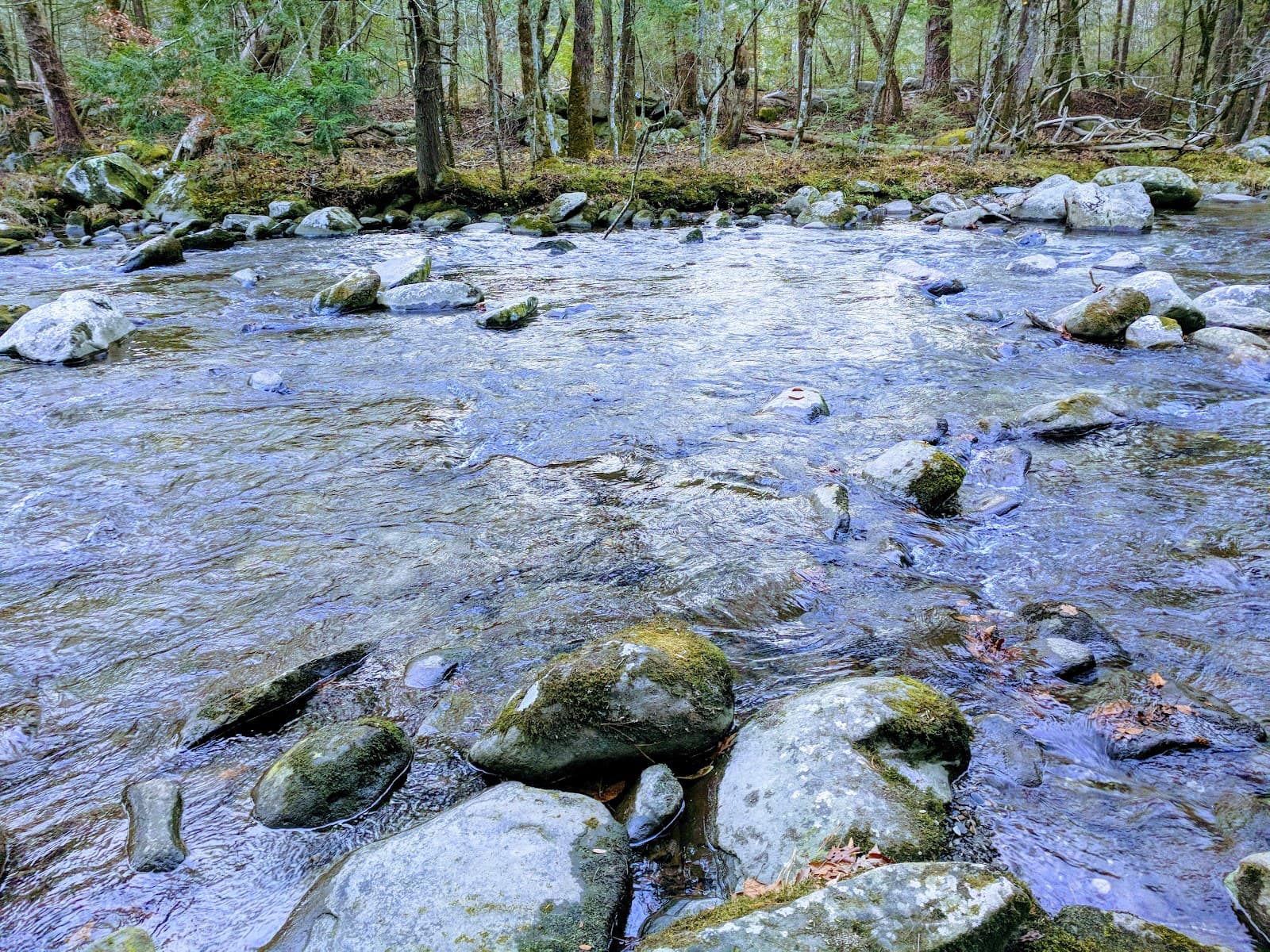Great Smoky Mountains Institute at Tremont - Image 1