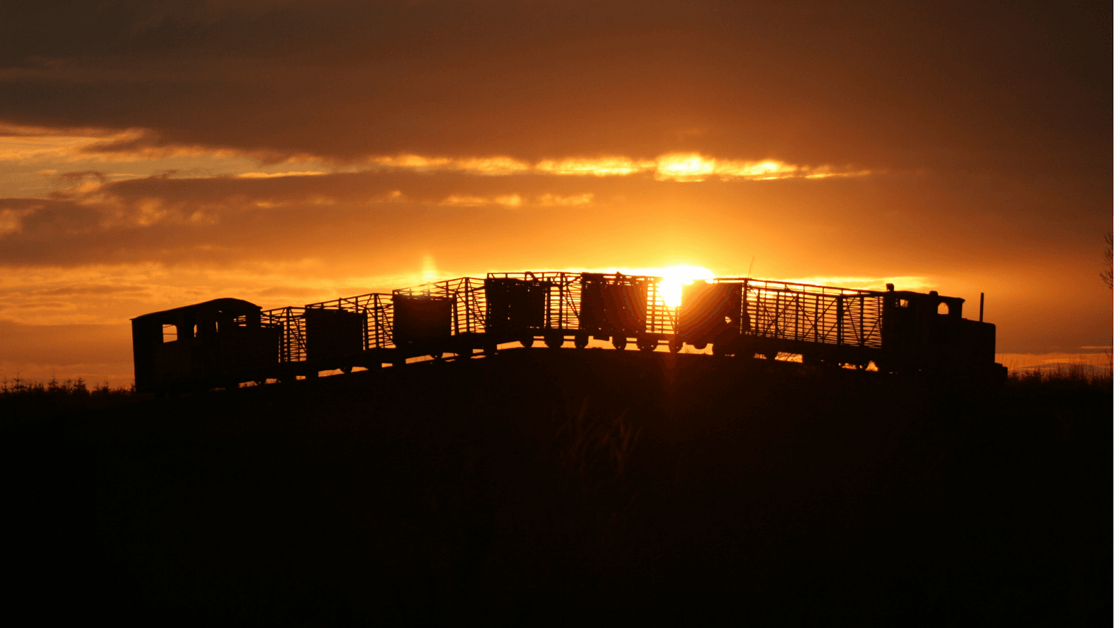 Lough Boora Discovery Park - Image 1