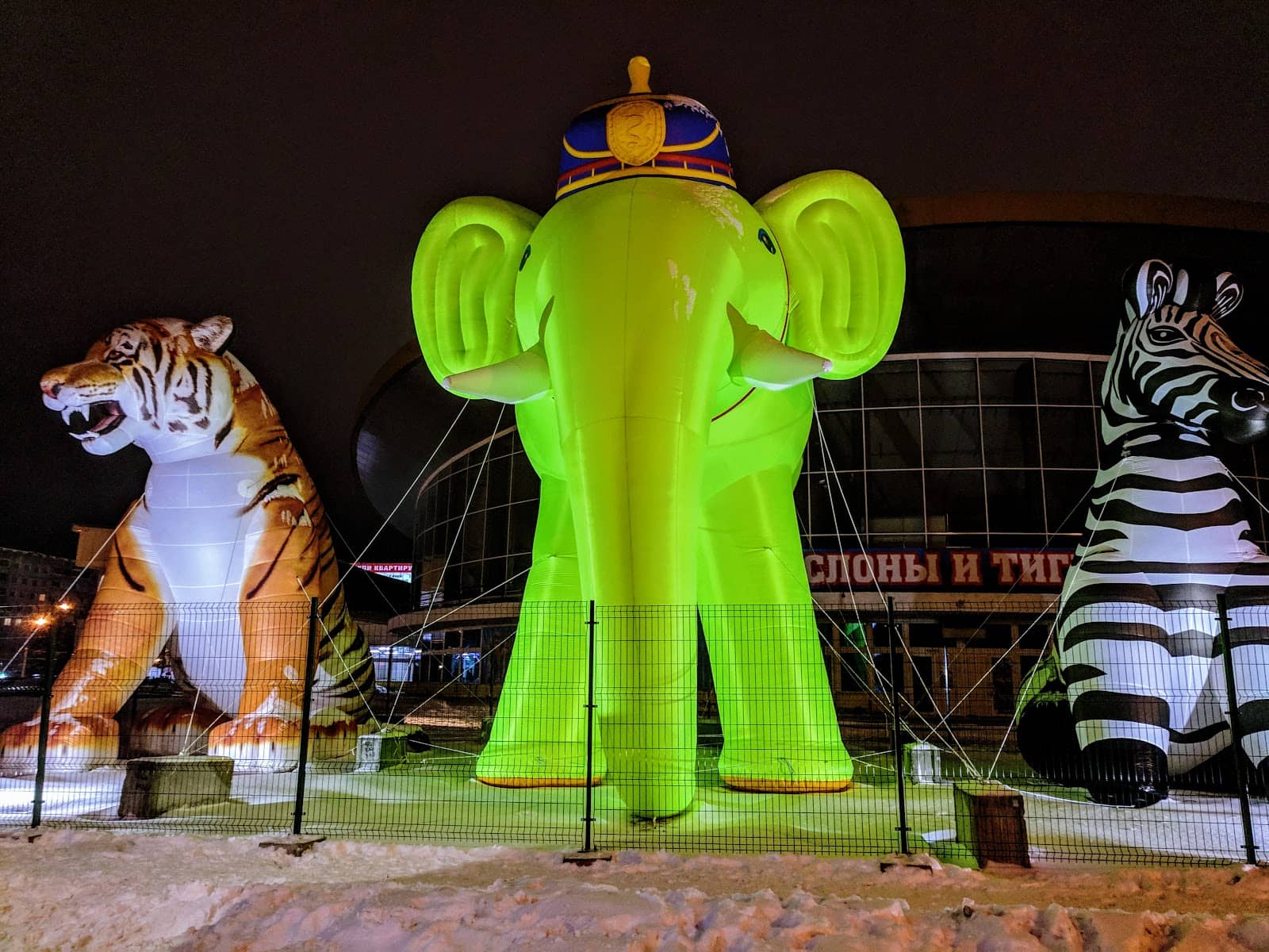 World-Class Performers