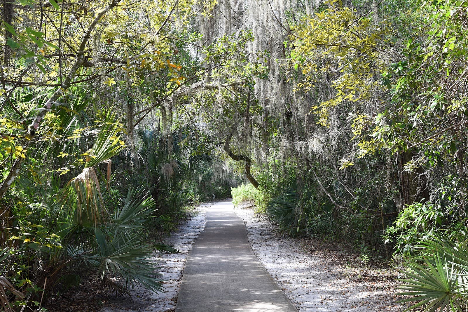 Maggy's Hammock Park - Image 1