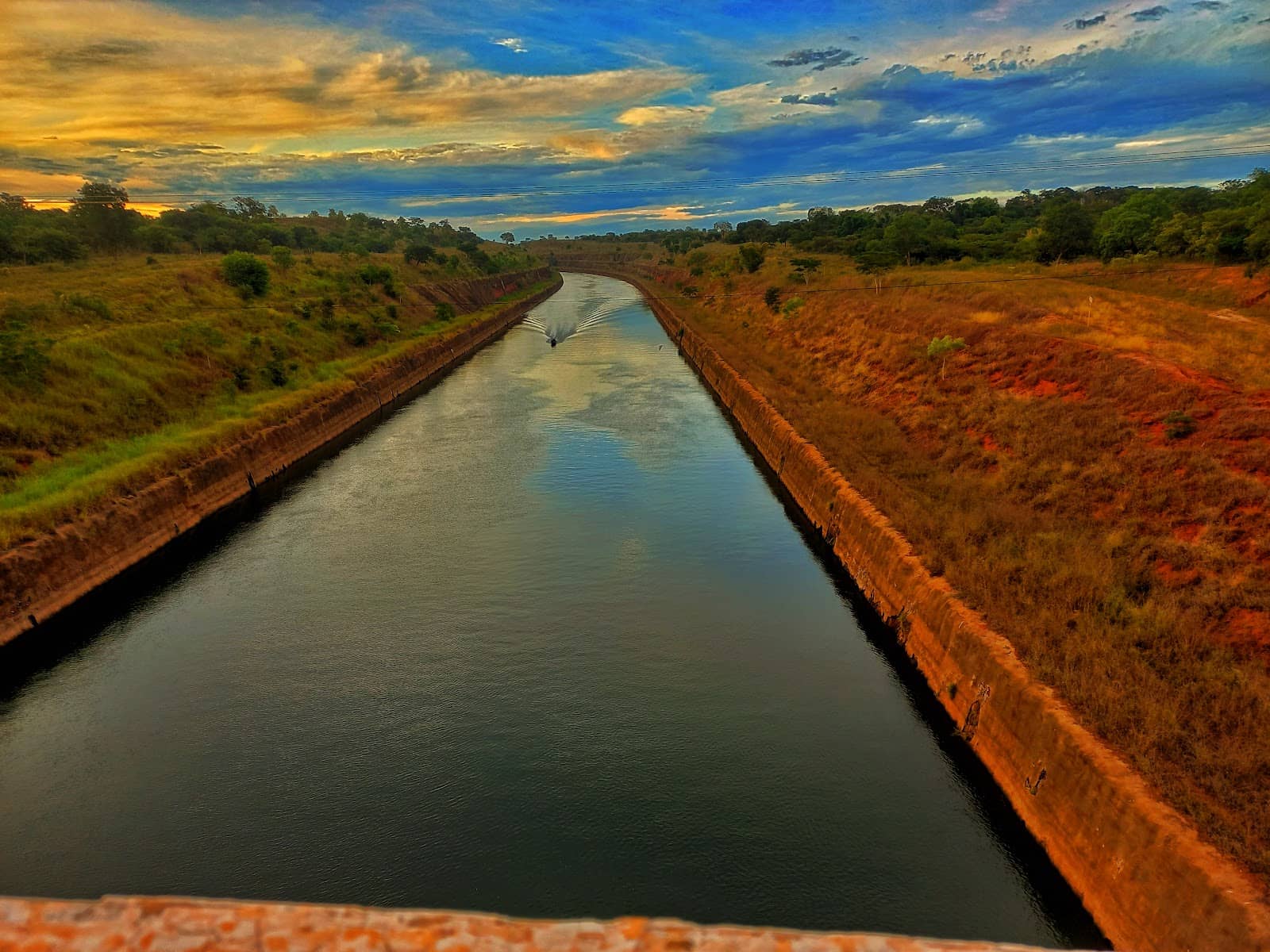 Annual Swimming Race