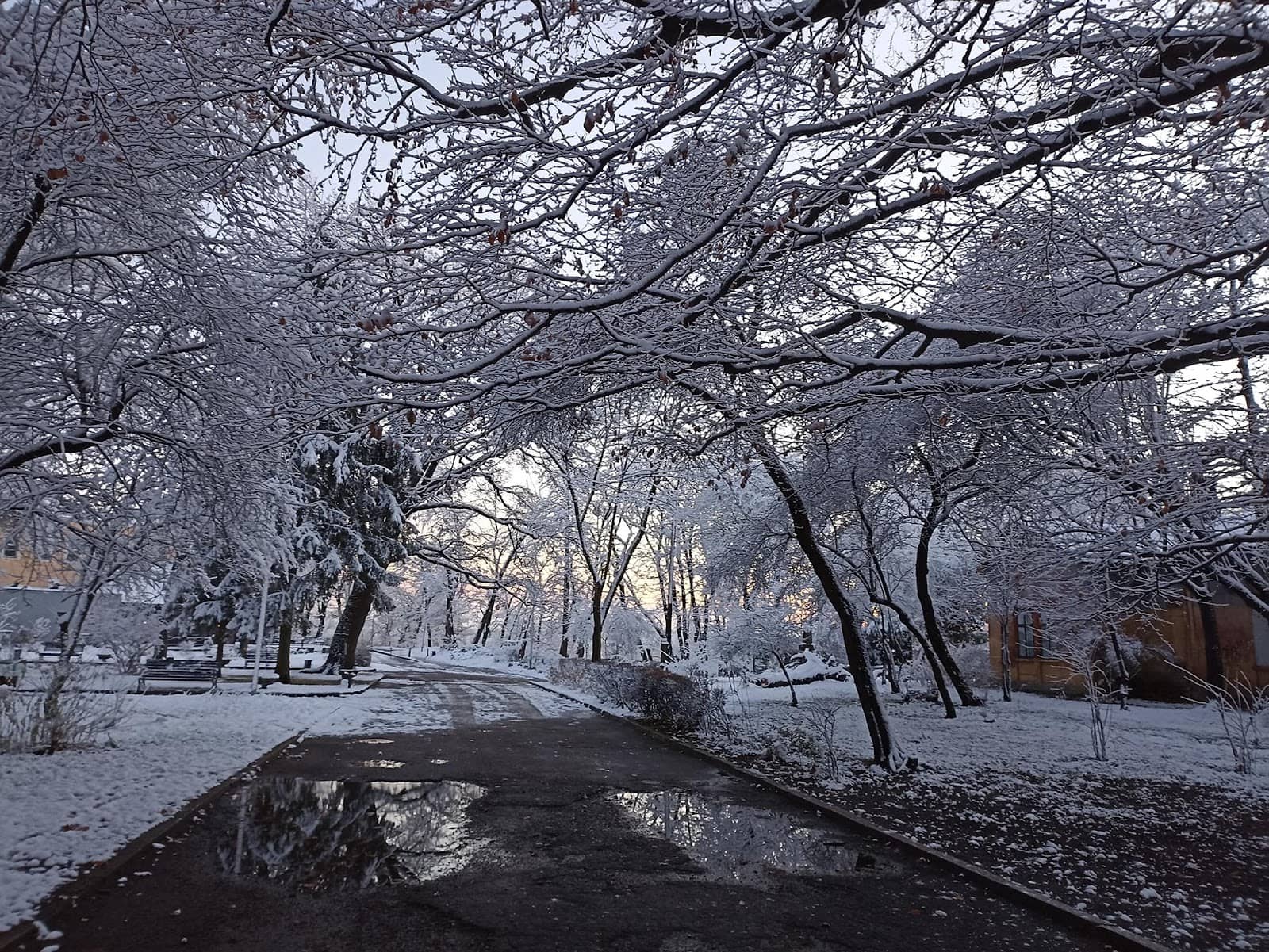 Peaceful Picnic Spots