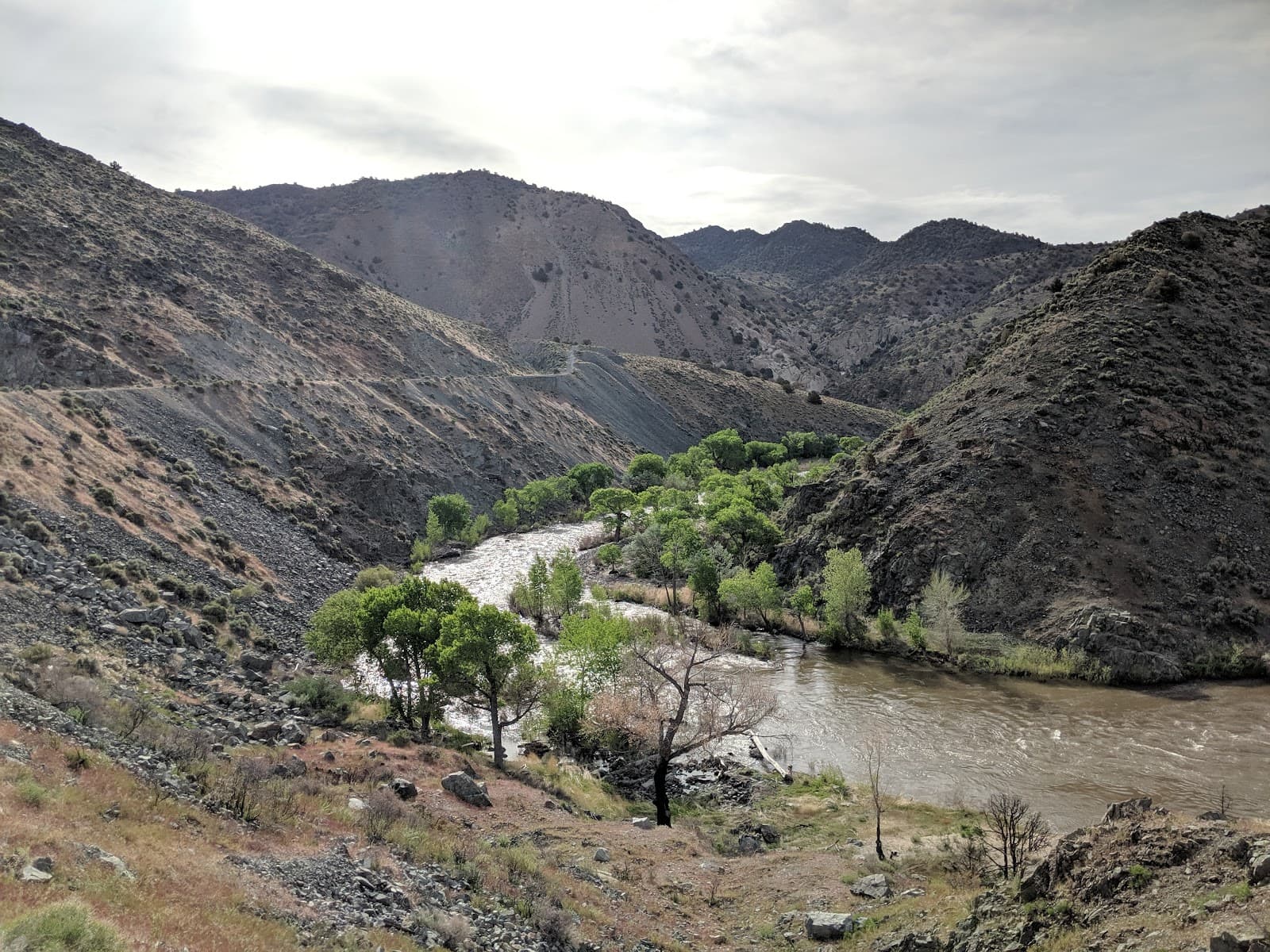 Carson River Canyon Scenic Drive - Image 1