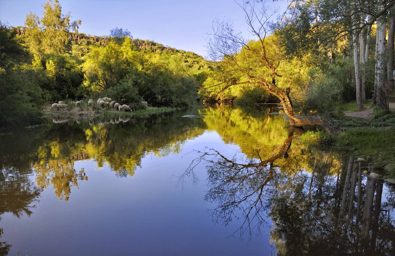 Picnic and Playground Area