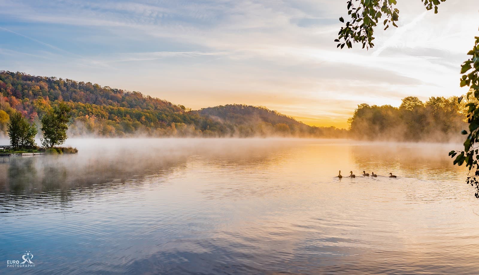 Vienenburger See - Image 1