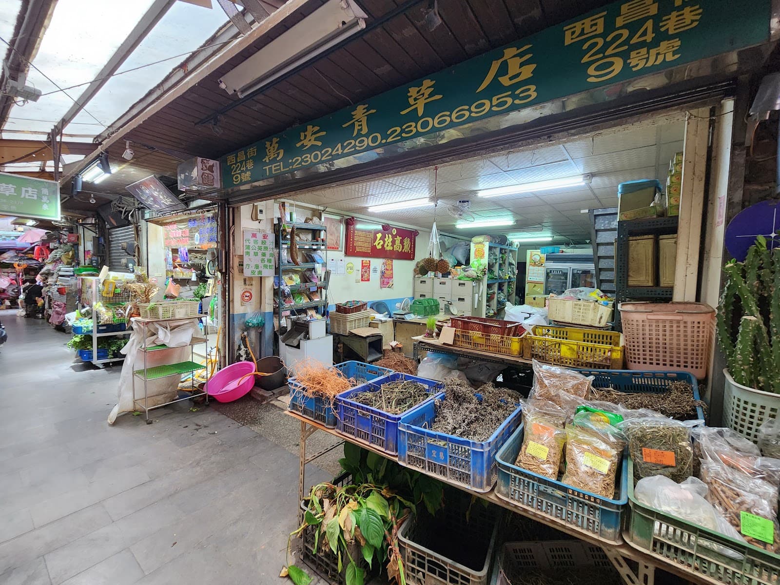 Herb Alley Qingcao Lane - Image 1