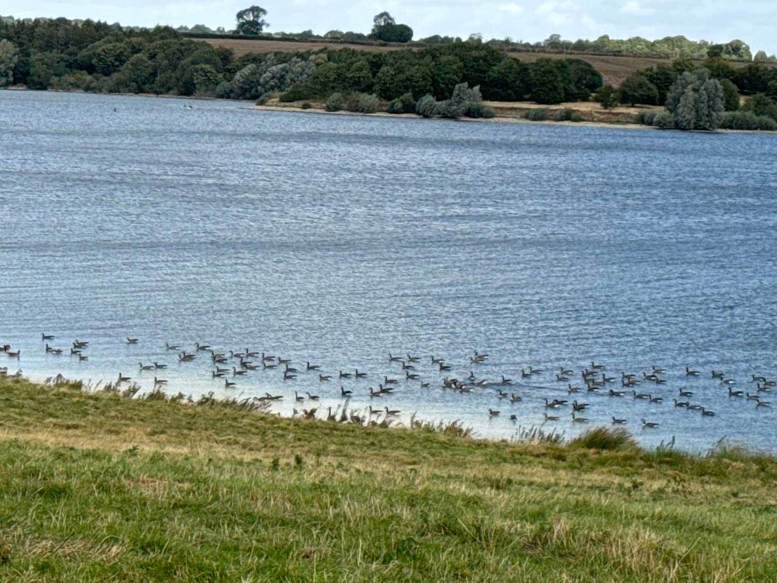 The Finch's Arms Pub