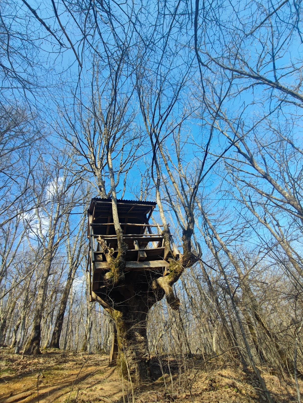 Brashlyan Architectural Reserve - Image 1