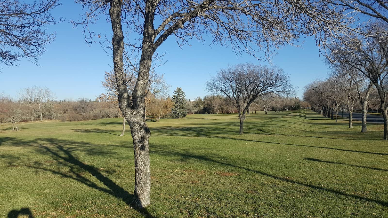 Playground & Open Green Space