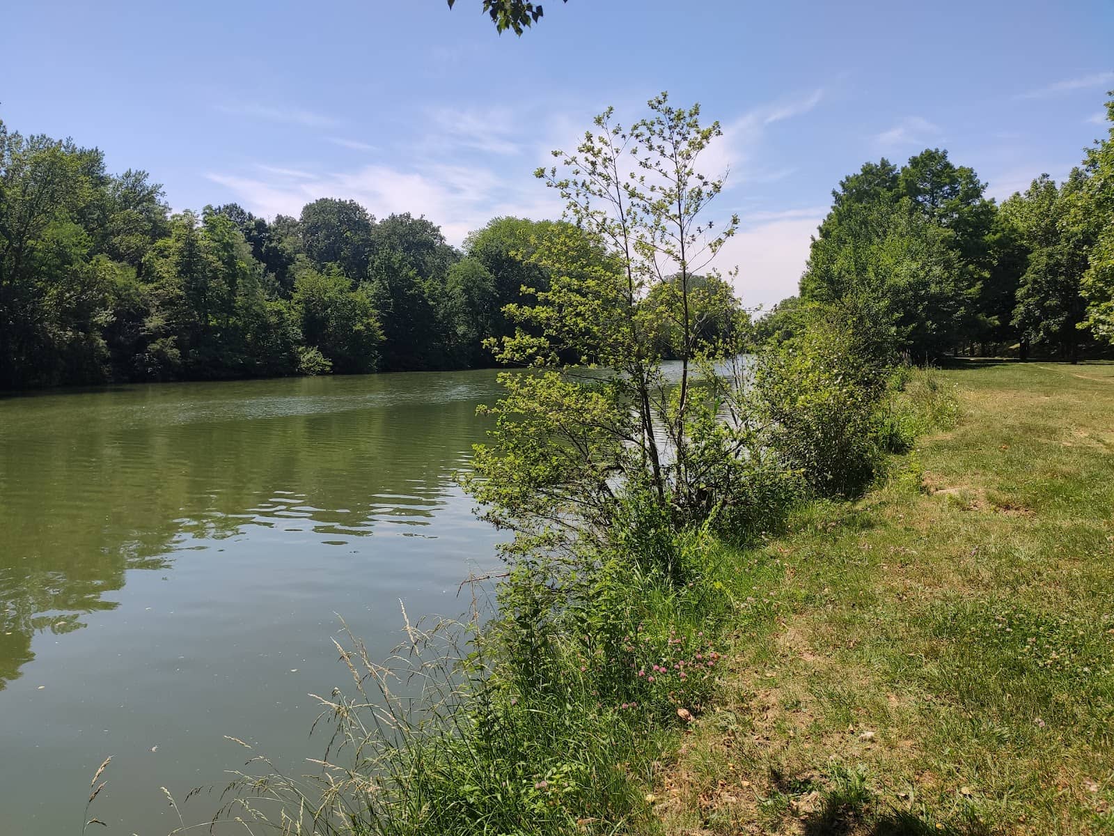 Lush Greenery and Gardens