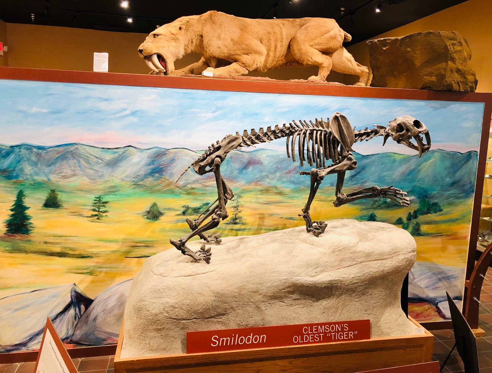 Bob Campbell Geology Museum - Image 1