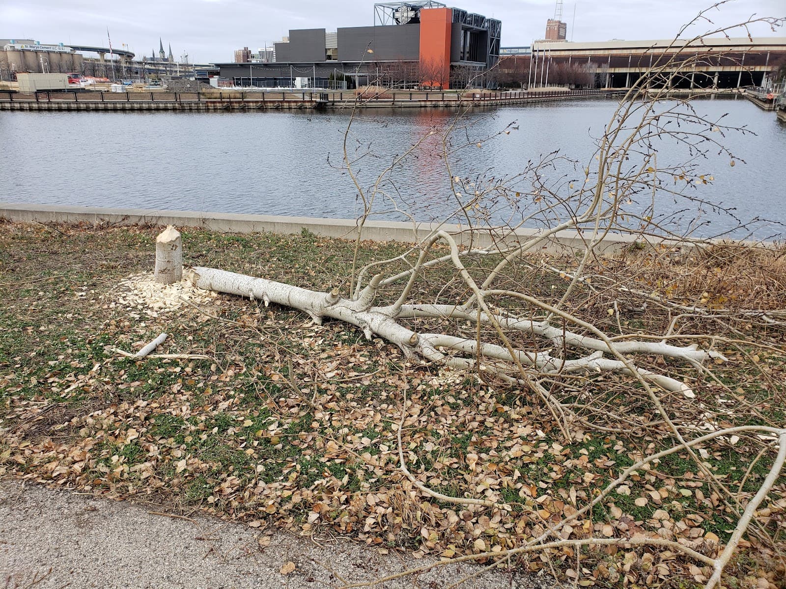 Menomonee Valley - Image 1